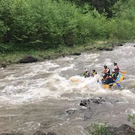 файні карпати *