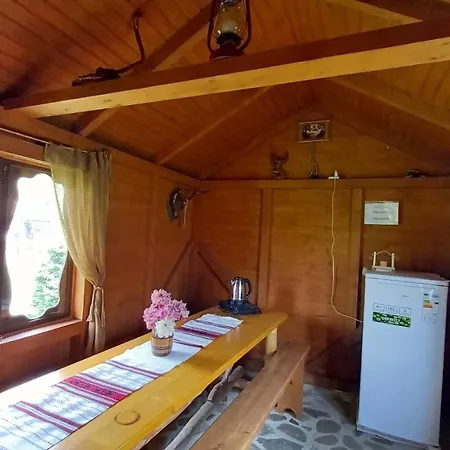 файні карпати Apartamento