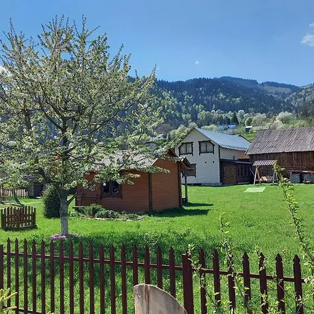 Appartement файні карпати *