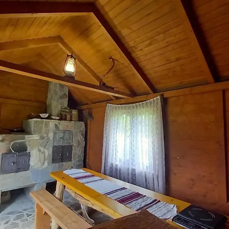 файні карпати *