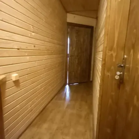 файні карпати