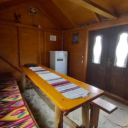 файні карпати