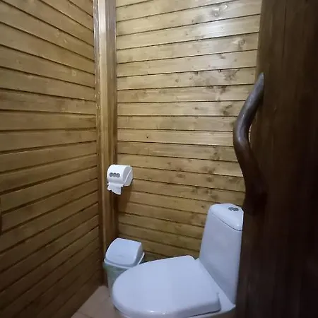 файні карпати Appartement