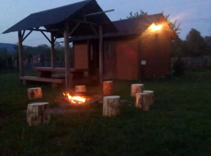 файні карпати شقة