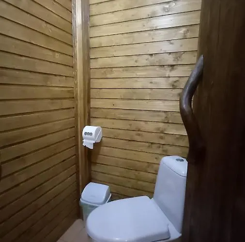 файні карпати Apartment
